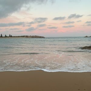 Meet your Posher, Millie